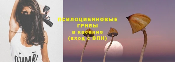 прущий лед Армянск