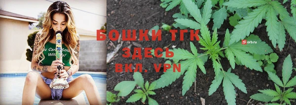 мяу мяу мука Арсеньев