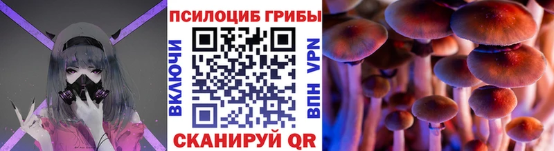 Псилоцибиновые грибы Psilocybine cubensis Миллерово
