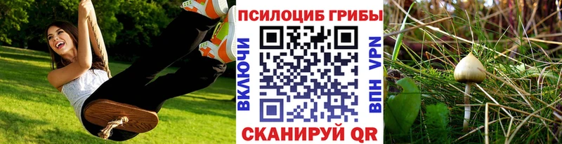 хочу наркоту  Миллерово  Галлюциногенные грибы ЛСД 